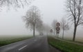 Poor visibility from fog in winter morning: View on german country road through forest with bare trees and headlights of car