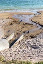 Poorly Treated wastewater is discharged into the sea on the coast in the area of Ã¢â¬â¹Ã¢â¬â¹the beach. Environmental pollution.