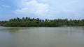 Poovar lake and mangrove forest, Thiruvananthapuram, Kerala Royalty Free Stock Photo