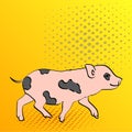 Pop Art Background Pig Pet Mini Pig. Raster of a vintage, retro style comic strip