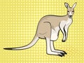 Pop art background, sand color, yellow and orange. An animal is a canada, a kangaroo female. Vector