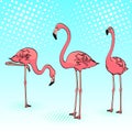 Pop art background. Three pink flamingos on the blue sea, birds rest. Raster Royalty Free Stock Photo