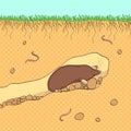 Pop art background. Vector cut section of land with blue sky, grass, underground soil with dirt, mud, stone and gophers