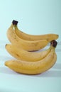 Pop art bananas