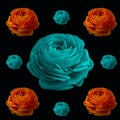 Pop art colored collage of orange and turquoise blue buttercup blossoms of different sizes Royalty Free Stock Photo