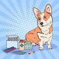 Pop Art Corgi Dog with Medication Pills and Tablets. Pet Health Care Royalty Free Stock Photo