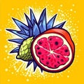 Pop Art grunge style fruit poster. Collection of retro fruits. Royalty Free Stock Photo