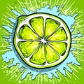 pop art lime fruit fresh vector design,