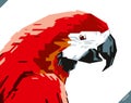 Pop art portrait of beautiful parrot. Vector illustration