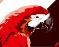 Pop art portrait of beautiful parrot. Vector illustration