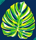 Pop art portrait of monsterra leaf. Vector illustration