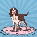 Pop Art Springer Spaniel. Cute Dirty Dog