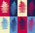 Pop Art Style Herbarium Collage Vector Collection of Dried Fern Leaves