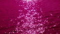 Pop art style magenta pink colored sparkling water surface with the sea ripples