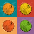 Pop Art Vector Illustration With Hand Drawn Citrus Fruit. Mandarin Orange, Tangerine, Lime, Grapefruit, Lemon O