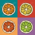 Pop art vector illustration with hand drawn citrus fruit, slices pieces sketch. Mandarin orange, tangerine, lim