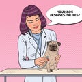 Pop Art Woman Vet Examining Pug Dog. Pet Veterinary