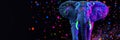 Pop artinspired image of an elephant on a black backdrop with splashes of neon paint created as CG artwork Royalty Free Stock Photo