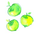 Pop color three little apples in decorative simple watercolor