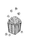 Pop corn sketch vector illustration. Fast food delicious corn icon for restaurant menu, apparel design and prints.