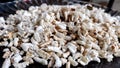 Pop rice Paddy seed Roasted through the heat to be cooked Royalty Free Stock Photo
