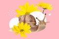 Pop trend artwork collage of big huge snail moving slowly in yellow dandelion garden isolated