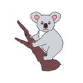 Cartoon cute gray koala on a tree branch vector illustration