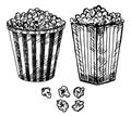 Popcorn in box illustration vector. Sketch set