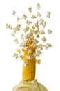 Popcorn che saltano dalla pannocchia Royalty Free Stock Photo