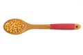 Popcorn corn. Raw grain in a spoon Royalty Free Stock Photo