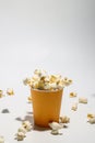 The popcorn in the disposable cup