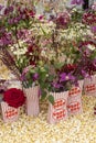 Popcorn Flower arrangement Royalty Free Stock Photo