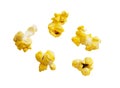 Popcorn kernels with clipping path Royalty Free Stock Photo