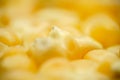 Popcorn kernels in extreme close up Royalty Free Stock Photo