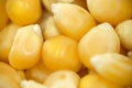 Popcorn kernels in extreme close up,top view Royalty Free Stock Photo