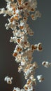 Popcorn kernels popping in mid-air Royalty Free Stock Photo