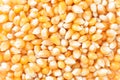 Popcorn Kernels unpopped Royalty Free Stock Photo