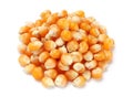 Popcorn seed Royalty Free Stock Photo