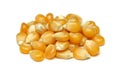 Popcorn seed, corn Royalty Free Stock Photo