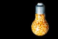 Popcorn seeds inside an incandescent light bulb
