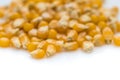 Popcorn Seeds, Studio Close Up Shot, on White Background