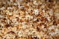 Popcorn texture background, sweet caramel popcorn Royalty Free Stock Photo