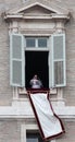 Pope Francis I during the first Angelus