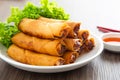 Popiah, deep fried spring rolls