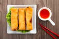 Popiah, deep fried spring rolls