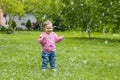 Poplar fluff