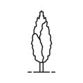 Poplar tree linear icon