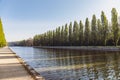 Poplar trees in Parc de Sceaux - Ile de France - Paris - France