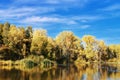 Poplar trees with yellow leaves reflected in the waters of the l