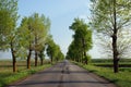 Straight Road Poplars Royalty Free Stock Photo